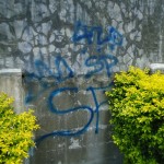 A hodgepodge of graffiti