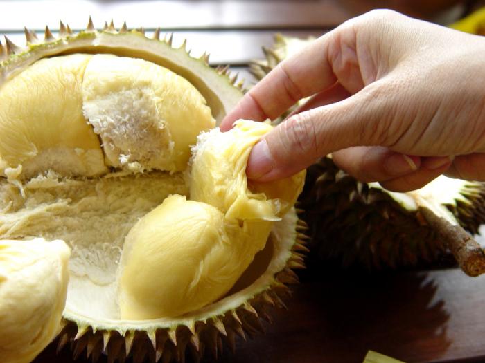 Durian - The King of Fruits