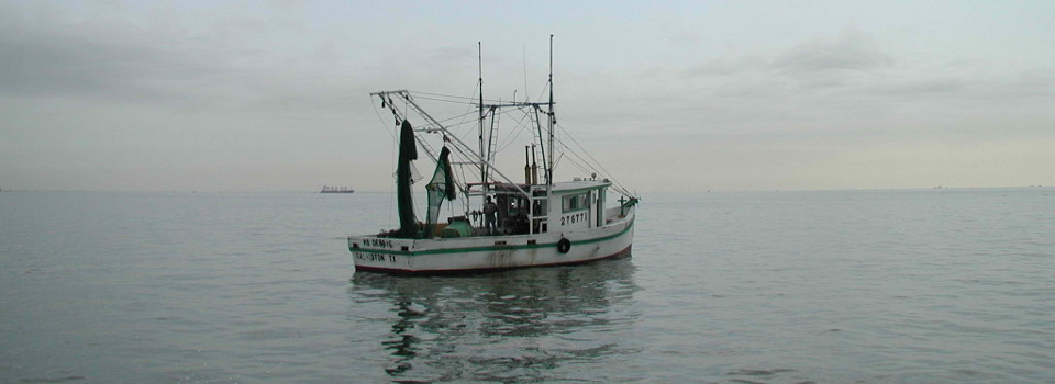 Gulf Shrimp-Boat
