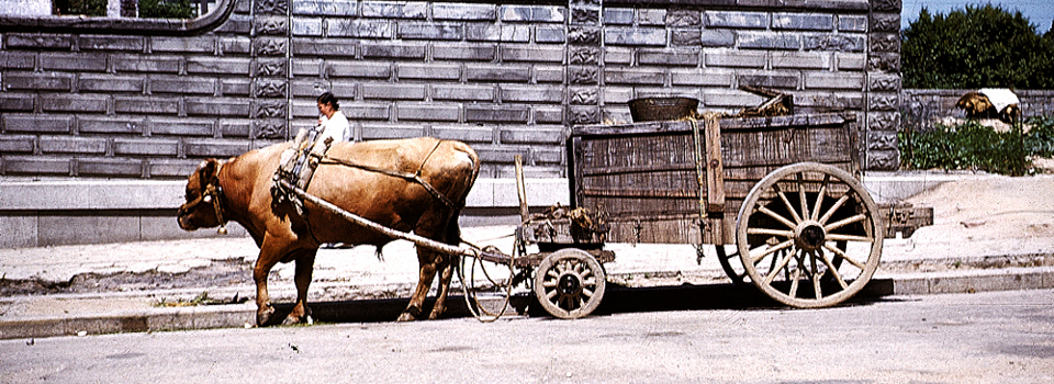 The Old Honey Wagon
