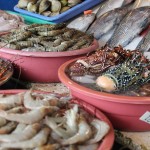 Lots of good seafood in the Philippines