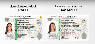 Puerto Rico Licence