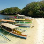 Quezon Island Shoreline
