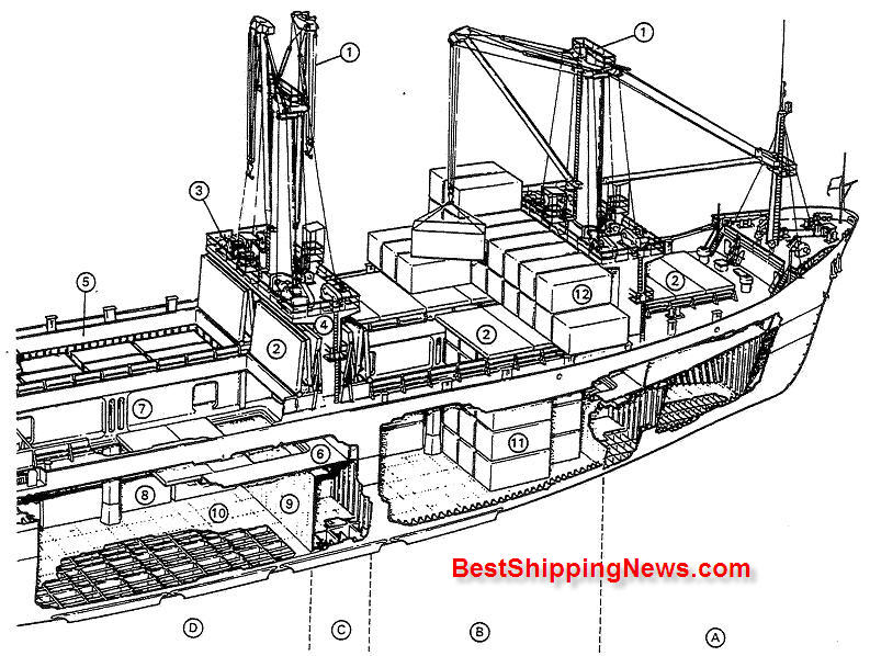 general cargo ship cutaway of cargo (Tween) decks