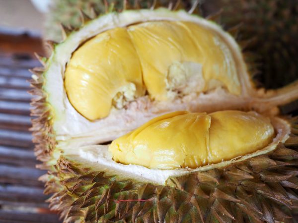 This is the STAR of Durian Week in Davao