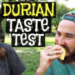Taste Test of Durian